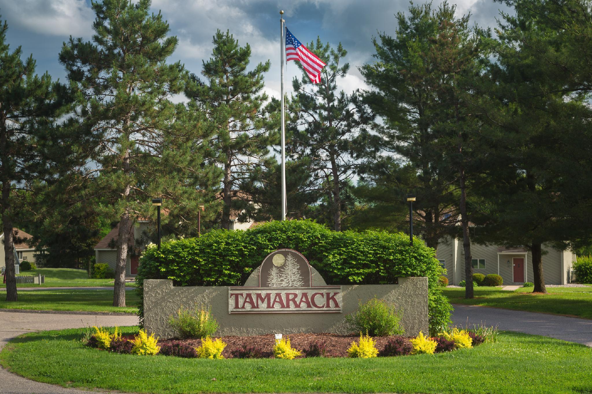 Tamarack Wisconsin Dells, A Ramada By Wyndham Ξενοδοχείο Lake Delton Εξωτερικό φωτογραφία